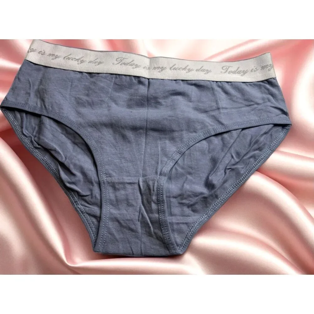 New Bikini Brief Today is Your Lucky Day Small Panties Underwear NWOT Blue Grey